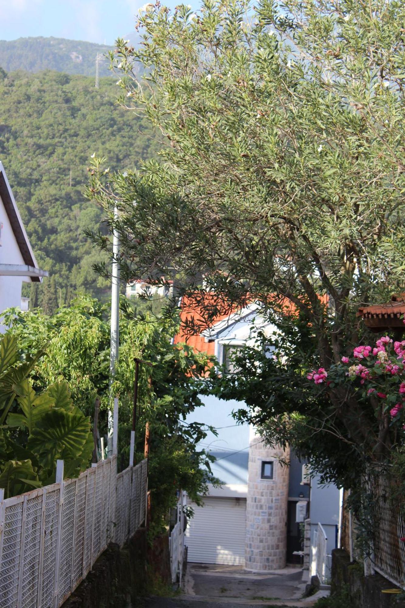 Modern By The Sea In The Center Of *
